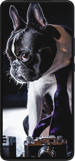 Силиконовый чехол Бульдог-фотограф для Motorola Edge 30 - 142u-2840 изображение 