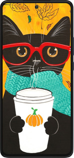 Силиконовый чехол Осенний кот для Motorola Edge 30 - 4026u-2840 изображение 