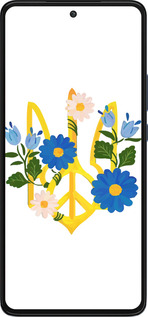 Силиконовый чехол Герб v3 для Motorola Edge 30 - 5265u-2840 изображение 