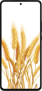 Силиконовый чехол Колоски пшеници для Motorola Edge 30 - 5866u-2840 изображение 