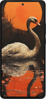 Силиконовый чехол Лебедь для Motorola Edge 30 - 5964u-2840 изображение 