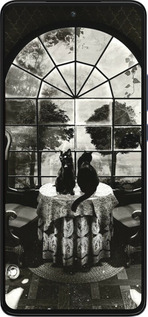 Силиконовый чехол Череп и коты для Motorola Edge 30 - 6432u-2840 изображение 