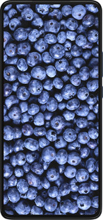 Силіконовий чехол Чорниця для Motorola Edge 30 - 851u-2840 изображение 