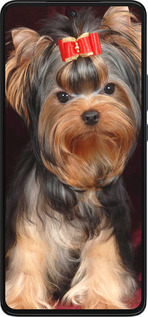 Силиконовый чехол Йоркширский терьер для Motorola Edge 30 - 929u-2840 изображение 