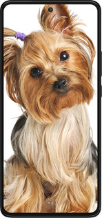 Силиконовый чехол Йоркширский терьер с хвостиком для Motorola Edge 30 - 930u-2840 изображение 