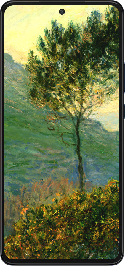 Силиконовый чехол Клод Моне для Motorola Edge 30 - 1193u-2840 изображение 