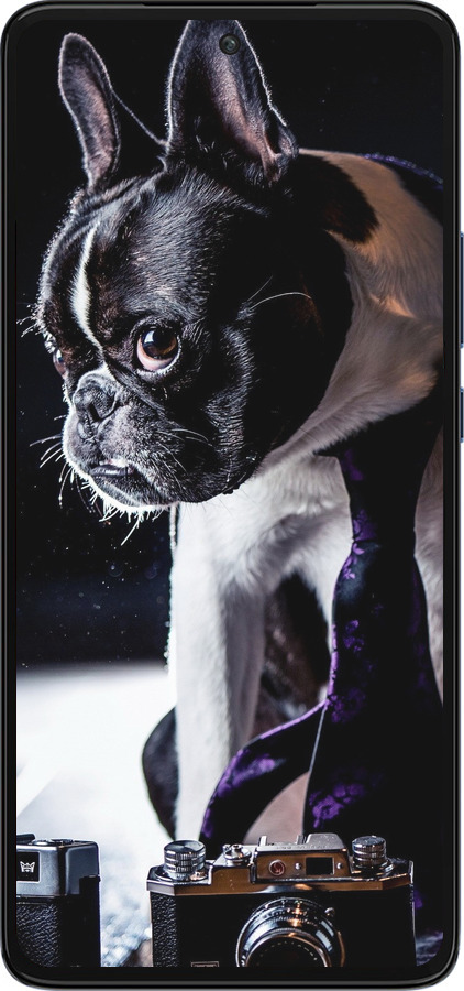 Силиконовый чехол Бульдог-фотограф для Motorola Edge 30 - 142u-2840 изображение 