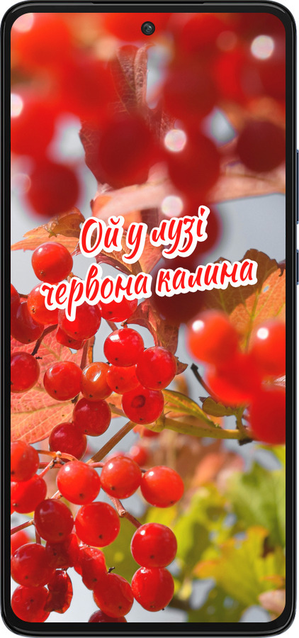 Силиконовый чехол Калина для Motorola Edge 30 - 5454u-2840 изображение 