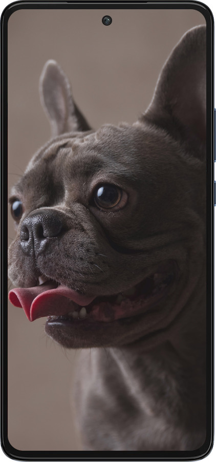 Силиконовый чехол Милый бульдог для Motorola Edge 30 - 5546u-2840 изображение 