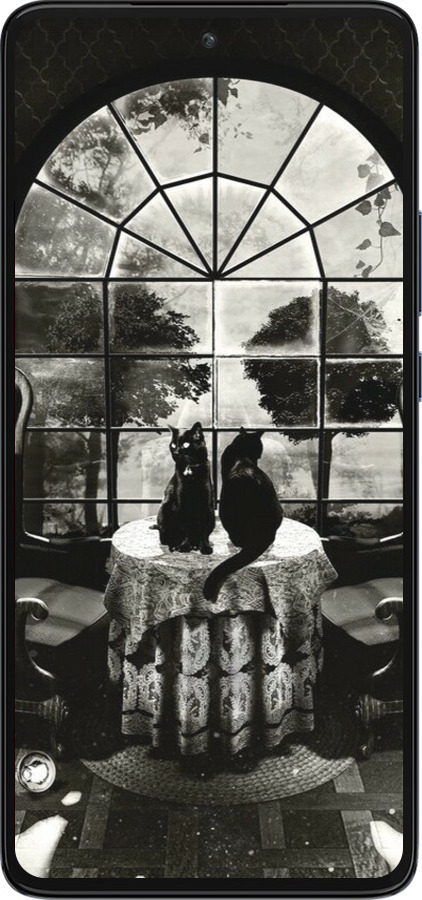 Силиконовый чехол Череп и коты для Motorola Edge 30 - 6432u-2840 изображение 