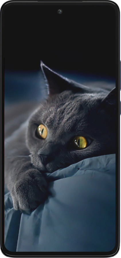 Силиконовый чехол Дымчатый кот для Motorola Edge 30 - 825u-2840 изображение 