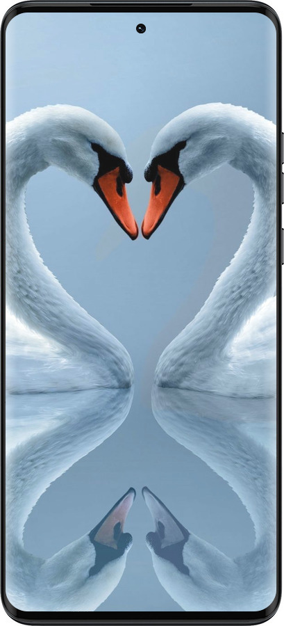 TPU чехол Лебеди для Motorola Edge 40 Neo - 6007b-3342 изображение 