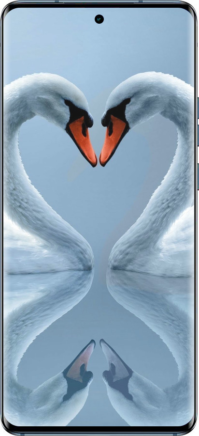 TPU чехол Лебеди для Motorola Edge 40 - 6007b-3335 изображение 
