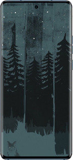 Силиконовый чехол Лиса и ночной лес для Motorola Edge 40 - 6481u-3335 изображение 