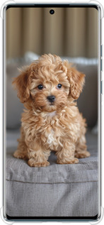 Силикон с усиленными углами чехол Mini-maltipoo для Motorola Edge 50 Fusion - 6158sp-3748 изображение 