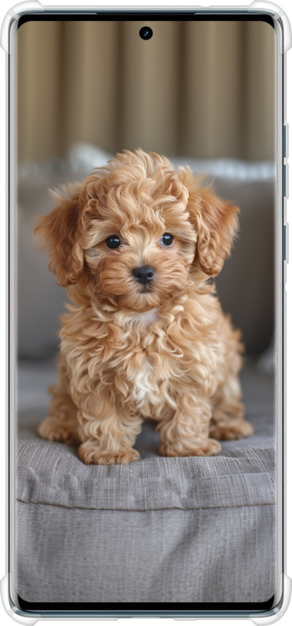 Силикон с усиленными углами чехол Mini-maltipoo для Motorola Edge 50 Fusion - 6158sp-3748 изображение 