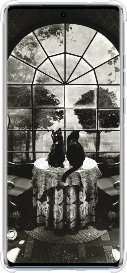 Силикон с усиленными углами чехол Череп и коты для Motorola Edge 50 Fusion - 6432sp-3748 изображение 