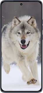 TPU чехол Вовк, що біжить для Motorola Edge 50 Neo 5G - 826b-3794 изображение 