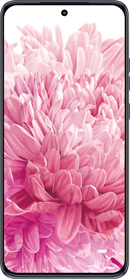 TPU чехол Хризантема для Motorola Edge 50 Neo 5G - 4666b-3794 изображение 