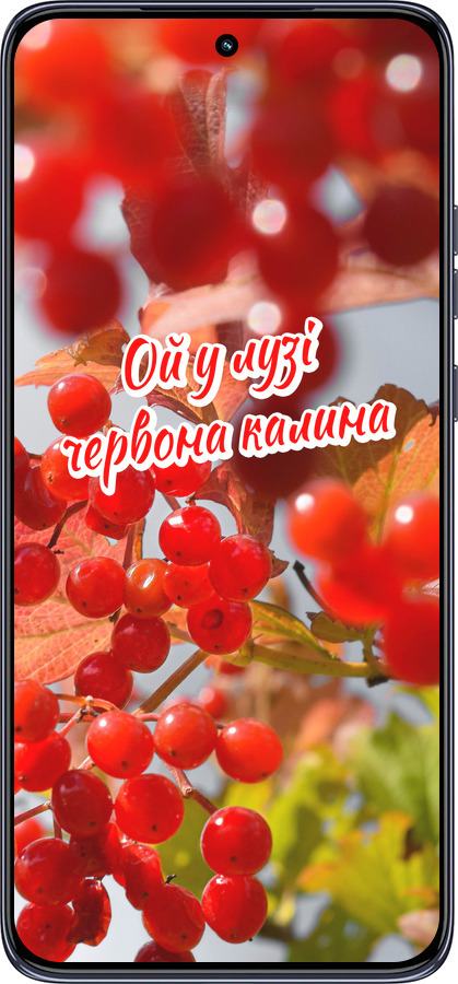 TPU чехол Калина для Motorola Edge 50 Neo 5G - 5454b-3794 изображение 