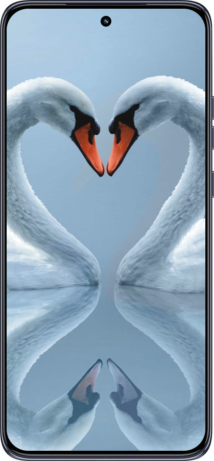 TPU чехол Лебеди для Motorola Edge 50 Neo 5G - 6007b-3794 изображение 