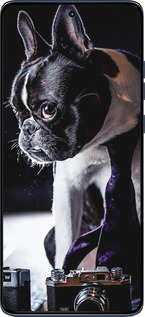 Силиконовый чехол Бульдог-фотограф для Motorola Edge 60 Fusion 5G - 142u-4021 изображение 