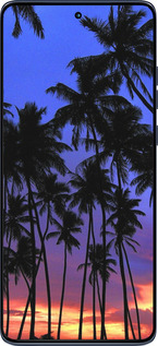 Силиконовый чехол Пальмы для Motorola Edge 60 Fusion 5G - 4324u-4021 изображение 