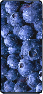 Силиконовый чехол Голубика для Motorola Edge 60 Fusion 5G - 4459u-4021 изображение 