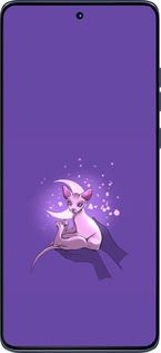 Силиконовый чехол Кот2 для Motorola Edge 60 Fusion 5G - 4676u-4021 изображение 