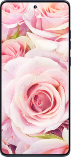 Силіконовий чехол Троянди для Motorola Edge 60 Fusion 5G - 525u-4021 изображение 