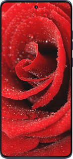 Силиконовый чехол Красная роза для Motorola Edge 60 Fusion 5G - 529u-4021 изображение 