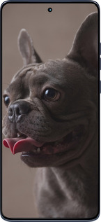 Силіконовий чехол Милий бульдог для Motorola Edge 60 Fusion 5G - 5546u-4021 изображение 