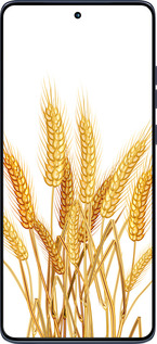 Силиконовый чехол Колоски пшеници для Motorola Edge 60 Fusion 5G - 5866u-4021 изображение 