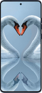 Силиконовый чехол Лебеди для Motorola Edge 60 Fusion 5G - 6007u-4021 изображение 