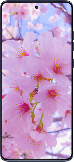 Силиконовый чехол Сакура для Motorola Edge 60 Fusion 5G - 6029u-4021 изображение 