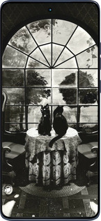 Силиконовый чехол Череп и коты для Motorola Edge 60 Fusion 5G - 6432u-4021 изображение 