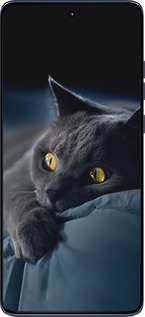 Силіконовий чехол Димчастий кіт для Motorola Edge 60 Fusion 5G - 825u-4021 изображение 