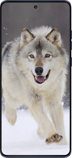 Силиконовый чехол Бегущий волк для Motorola Edge 60 Fusion 5G - 826u-4021 изображение 