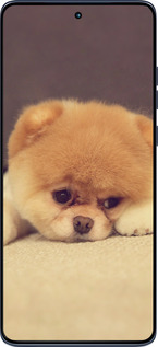 Силиконовый чехол Boo 2 для Motorola Edge 60 Fusion 5G - 890u-4021 изображение 