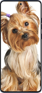 Силиконовый чехол Йоркширский терьер с хвостиком для Motorola Edge 60 Fusion 5G - 930u-4021 изображение 
