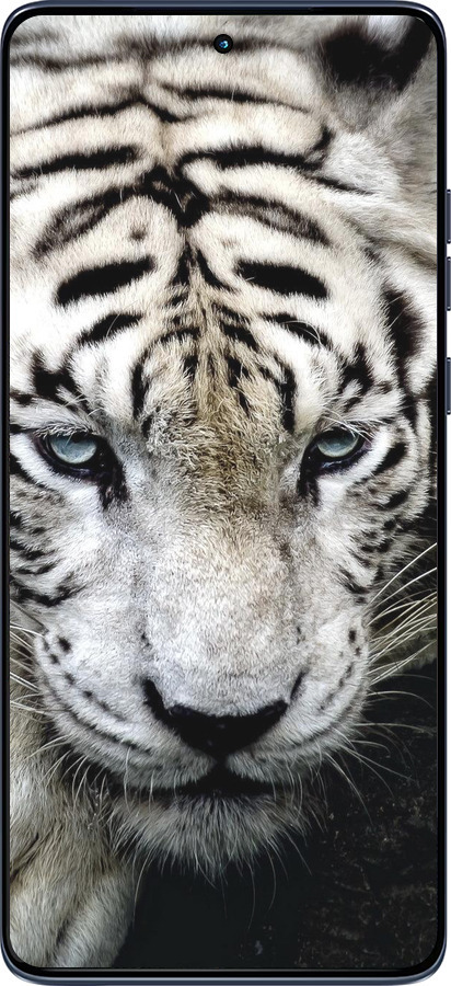 Силіконовий чехол Сумний білий тигр для Motorola Edge 60 Fusion 5G - 106u-4021 изображение 