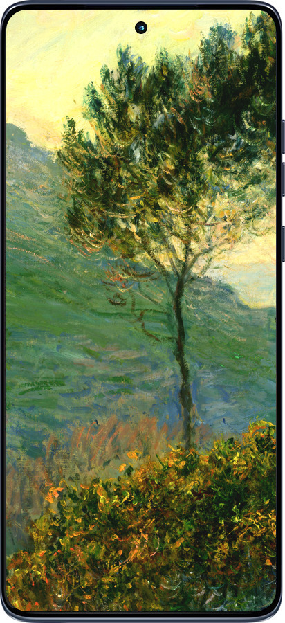 Силиконовый чехол Клод Моне для Motorola Edge 60 Fusion 5G - 1193u-4021 изображение 