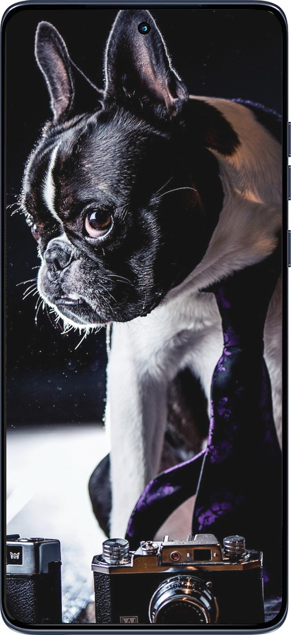 Силиконовый чехол Бульдог-фотограф для Motorola Edge 60 Fusion 5G - 142u-4021 изображение 