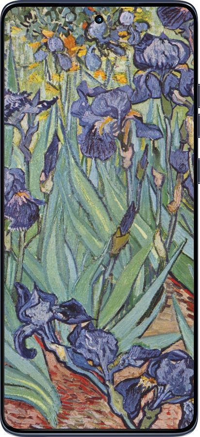 Силіконовий чехол Вінсент Ван Гог. Іриси для Motorola Edge 60 Fusion 5G - 161u-4021 изображение 