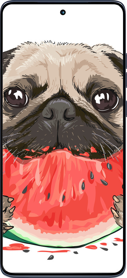 Силіконовий чехол Мопс і кавун для Motorola Edge 60 Fusion 5G - 4665u-4021 изображение 