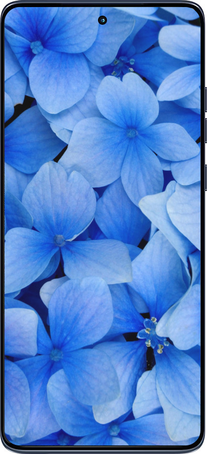 Силиконовый чехол Синие цветы для Motorola Edge 60 Fusion 5G - 526u-4021 изображение 