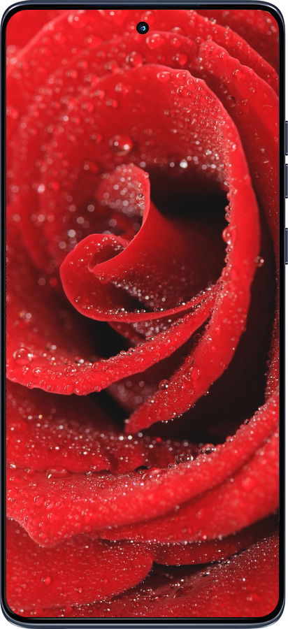 Силиконовый чехол Красная роза для Motorola Edge 60 Fusion 5G - 529u-4021 изображение 