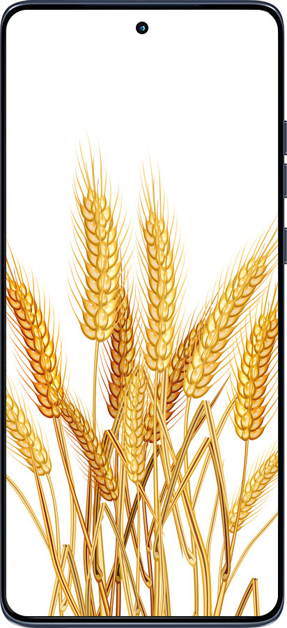 Силиконовый чехол Колоски пшеници для Motorola Edge 60 Fusion 5G - 5866u-4021 изображение 