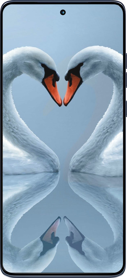 Силиконовый чехол Лебеди для Motorola Edge 60 Fusion 5G - 6007u-4021 изображение 