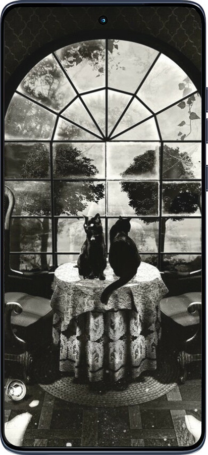 Силиконовый чехол Череп и коты для Motorola Edge 60 Fusion 5G - 6432u-4021 изображение 